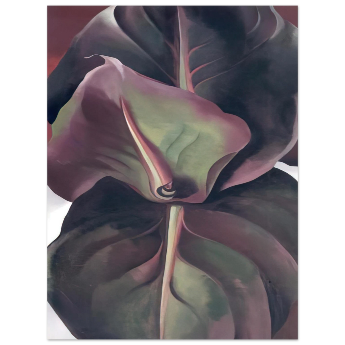 Georgia O'Keeffe - Canna Leaves Fine Art Poster