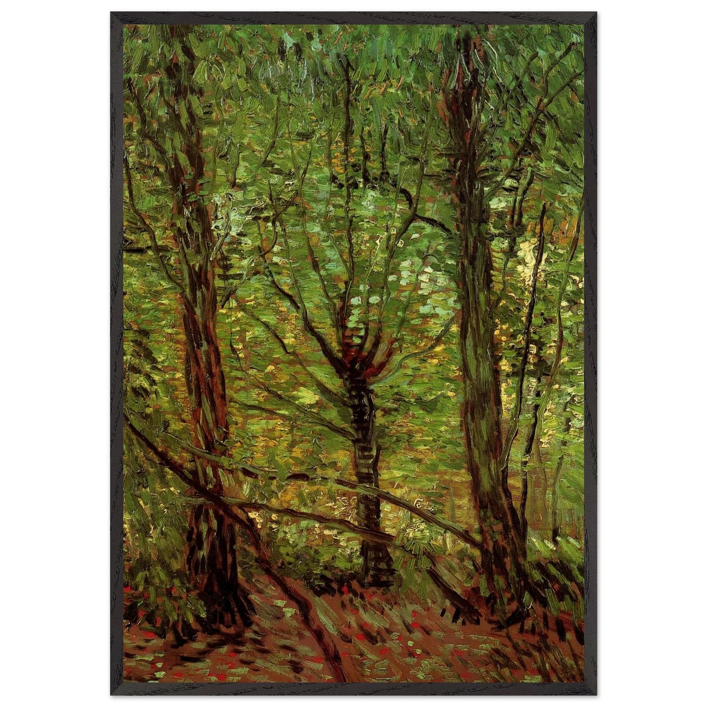 Trees and Undergrowth - Vincent van Gogh 70x100 cm / 28x40 inches Framed Art Print – Black Wooden Frame