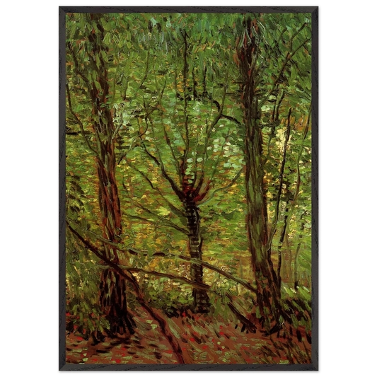 Trees and Undergrowth - Vincent van Gogh 70x100 cm / 28x40 inches Framed Art Print – Black Wooden Frame