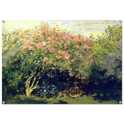 Lilacs in the Sun - claude monet Acrylic Print - 70x100 cm / 28x40″ inches