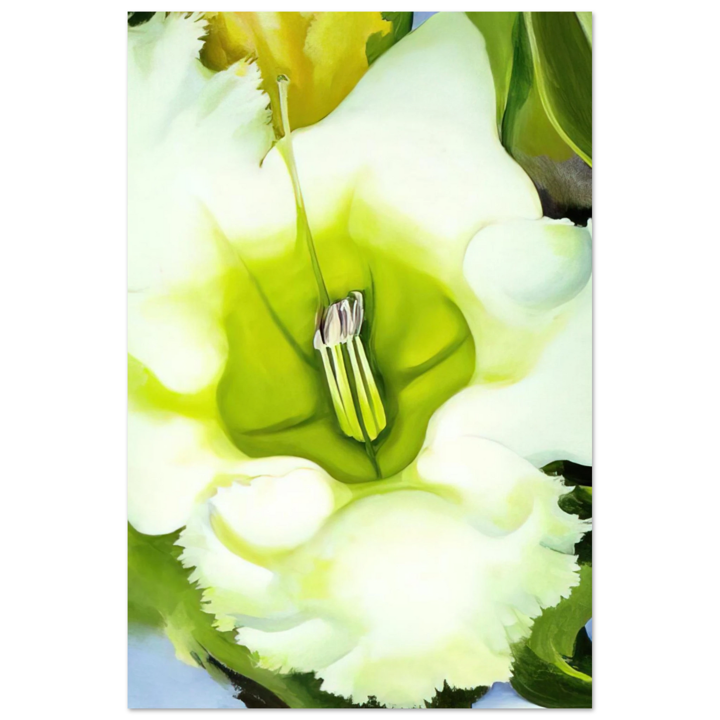 Georgia O'Keeffe - Cup Of Silver Ginger Fine Art Poster