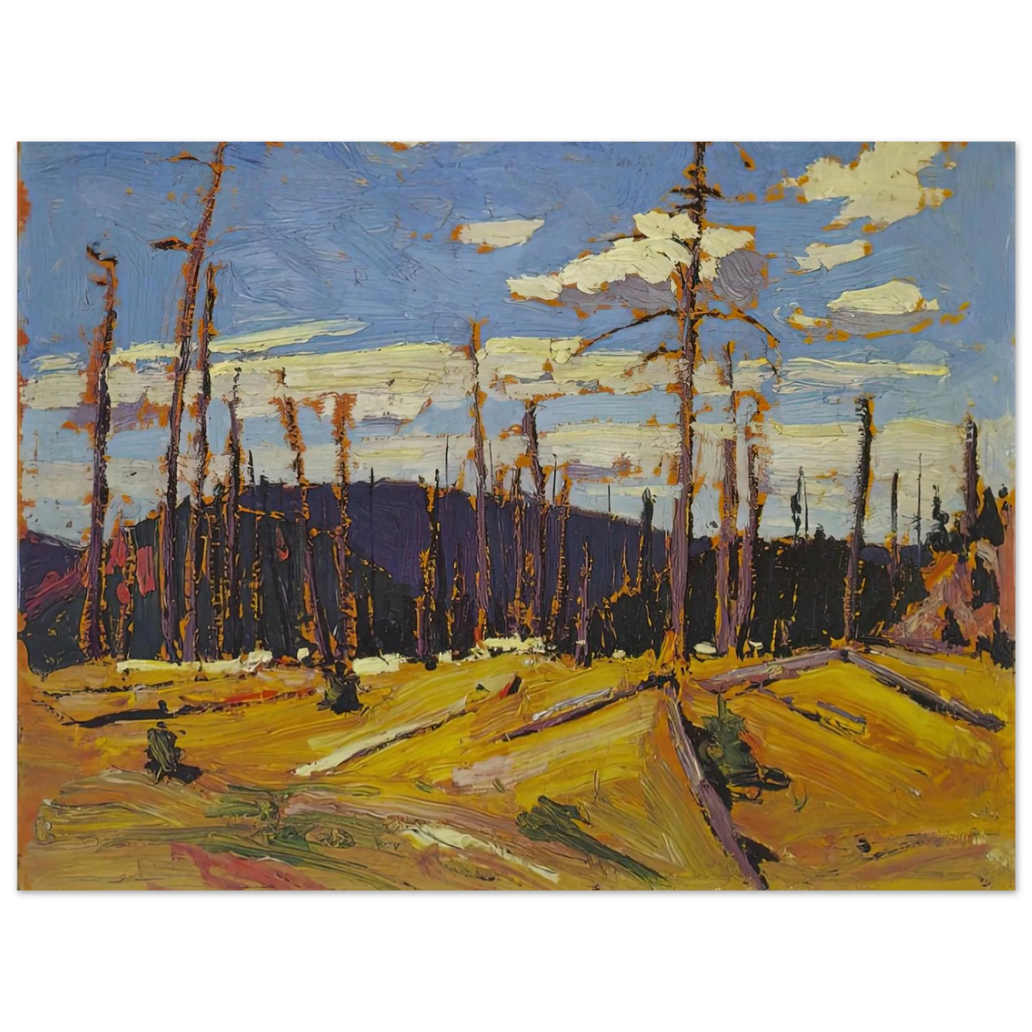 Tom Thomson - BURNT OVER FOREST 1916  75x100 cm / 30x40inches Fine Art Poster