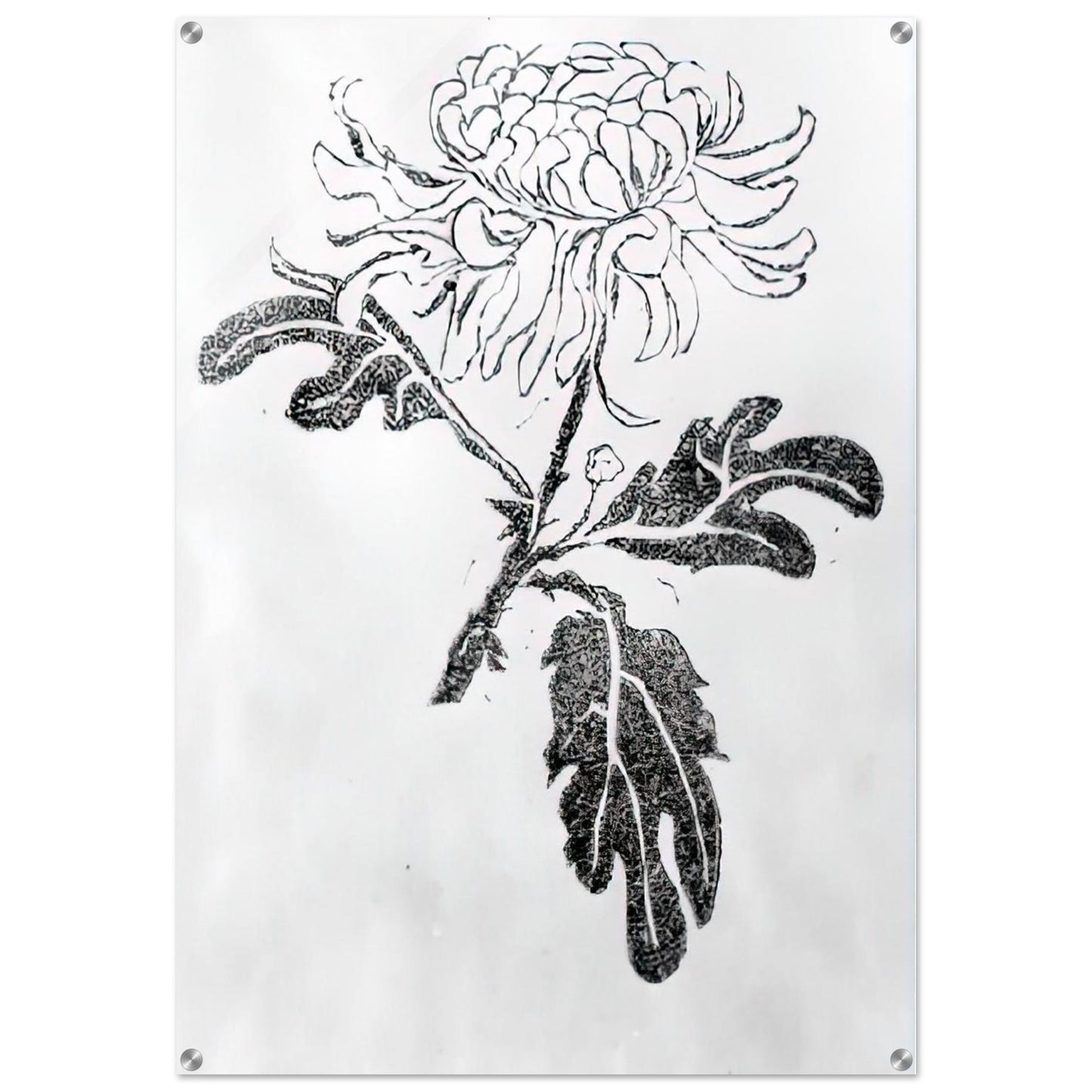 CHRYSANTHEMUM - MC Escher Acrylic Print - 70x100 cm / 28x40″ inches | MC Escher Wall Art | MC Escher Prints