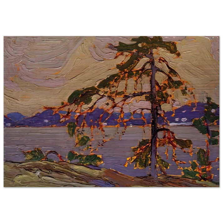 SKETCH FOR THE JACK PINE 1916 - Tom Thomson Brushed Aluminum Print - 70x100 cm / 28x40 inches | Tom Thomson Aluminum Print | Tom Thomson Prints