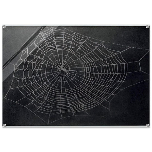 UNTITLED SPIDER WEB 2000 - Vija Celmins Acrylic Print - 70x100 cm / 28x40″ inches | Vija Celmins Wall Art | Vija Celmins Prints