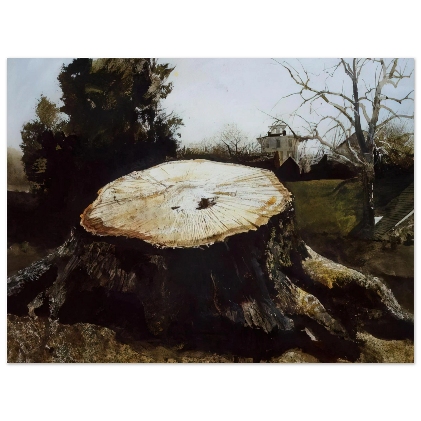 Andrew Wyeth - THE BIG OAK Wall Art - 60x80 cm / 24x32 inches - Premium Wooden Framed Poster With Fine Art Paper-canvas - Black frame