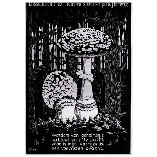 EMBLEMATA TOADSTOOL - MC Escher Brushed Aluminum Print - 70x100 cm / 28x40 inches | MC Escher Aluminum Print | MC Escher Prints