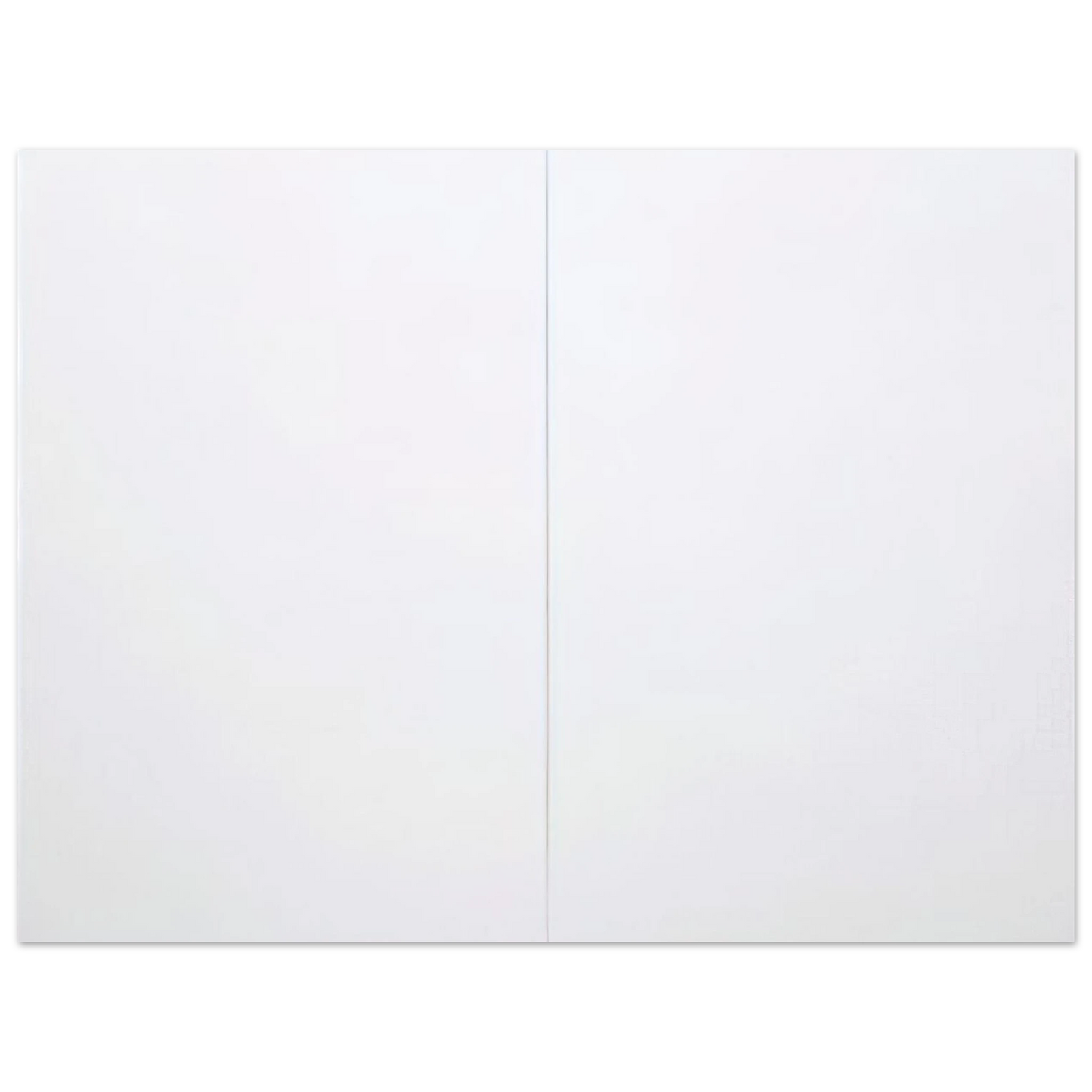 Wall artRobert Rauschenberg - WHITE PAINTING TWO PANEL 1951  75x100 cm / 30x40inches Fine Art Poster